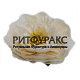 Г11593 Голова крупного пиона "Грнд"d=14 см (по 10)