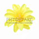 Г0116 Голова георгина d=11см (по 50) Г0116 Голова георгина d=11см (по 50)