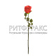 Бутон розы одиночный h=60 см