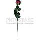 Бутон розы одиночный бархат h=60 см