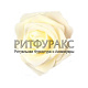 Г1291 Роза латекс 7,5см Г1291 Роза латекс 7,5см