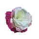 Г0100 Бутон розы "Эквадор" h=10см (по 50)