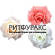 Г1172 Роза высокая рифлен.неткан 6сл 12см