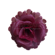 Г0123 Голова розы "Полька"d=11см (по 50)